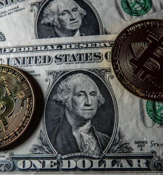 ریزش آبشاری بیت‌کوین/ ماشه سقوط رمزارزها چرا کشیده شد؟