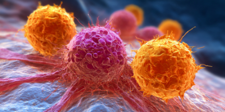 التهاب مزمن خطر سرطان را بالا میبرد؛ این میوهها التهاب را کاهش میدهند میوههای ضد سرطان, خواص کیوی برای سیستم ایمنی