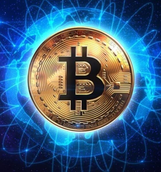 سقوط ۵۰ درصدی بیت‌کوین در بازار؛ شوک بزرگ به رمزارزها