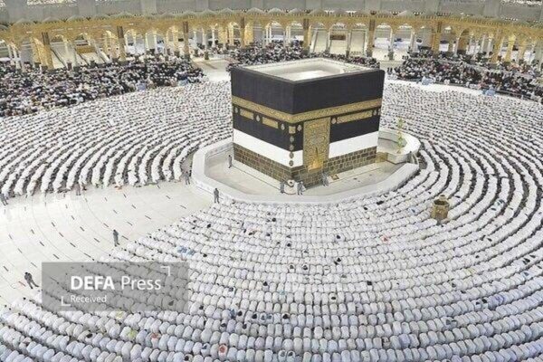 هزینه هر زائر در حج امسال چقدر است؟ / اعلام جزئیات جدید از حج ۱۴۰۵