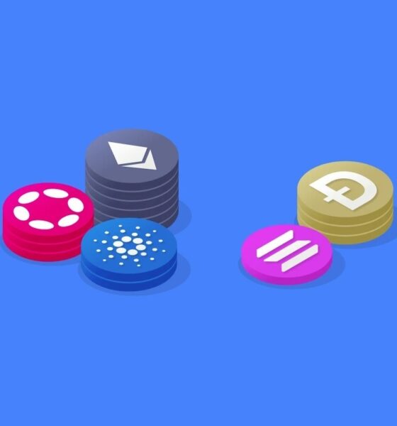 آموزش شروع سرمایه گذاری روی آلت کوین‌ها برای کاربران تازه‌وارد