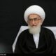 آیت‌الله نوری‌همدانی: همه پشت سر رهبر معظم انقلاب حرکت کنند‌