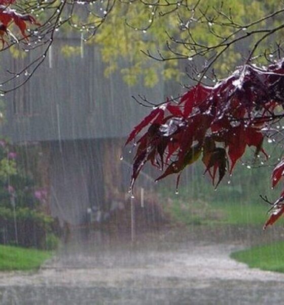 باران مهمان روز‌های ابتدایی سال/ سامانه تازه بارشی پنجشنبه می‌رسد