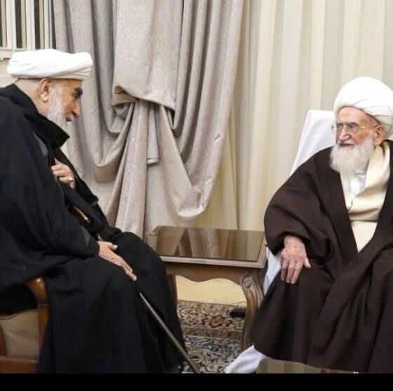 تأکید آیت‌الله نوری همدانی بر حمایت همه جانبه از مقام معظم رهبری