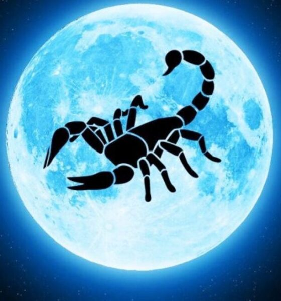 تاریخ دقیق قمر در عقرب اسفند ۱۴۰۴ / در روز‌های قمر در عقرب چه کار‌هایی انجام ندهیم؟