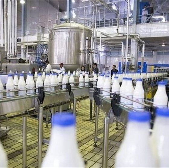 صادرات محصولات لبنی کشور ادامه دارد