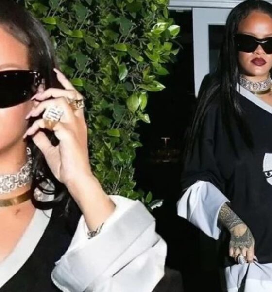 ضارب خواننده مشهور دستگیر شد+ عکس