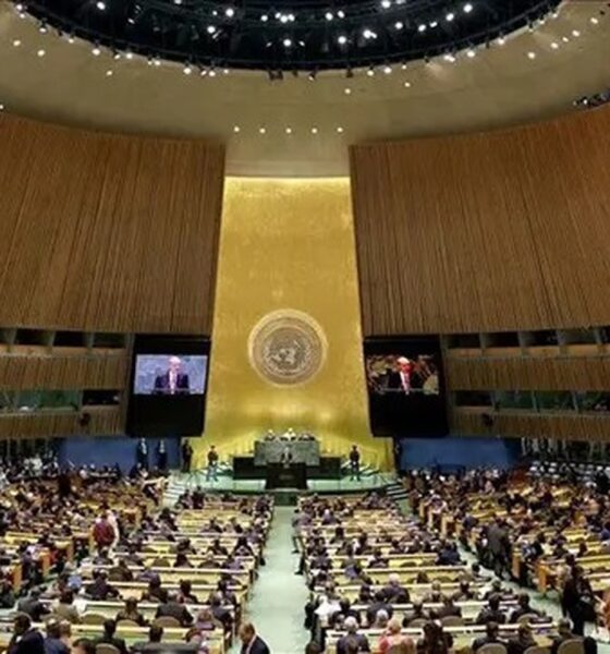 قطعنامه ممنوعیت تجارت برده در سازمان ملل تصویب شد