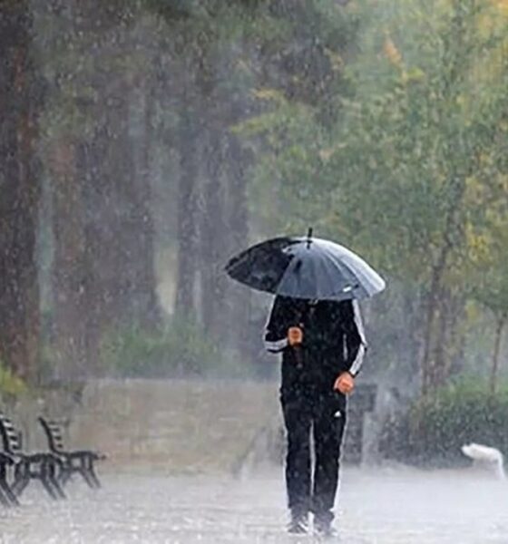 مسافران شمال بخوانند / وضعیت جوی مازندران برای هفته آینده اعلام شد