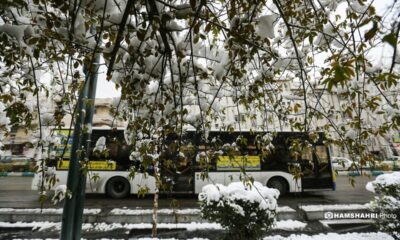 هواشناسی هشدار داد/ بارش‌ها تا پایان هفته در اغلب مناطق ادامه دارد