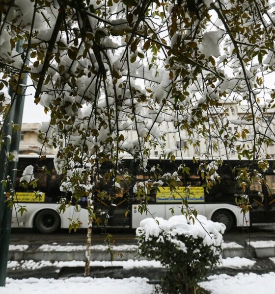 هواشناسی هشدار داد/ بارش‌ها تا پایان هفته در اغلب مناطق ادامه دارد