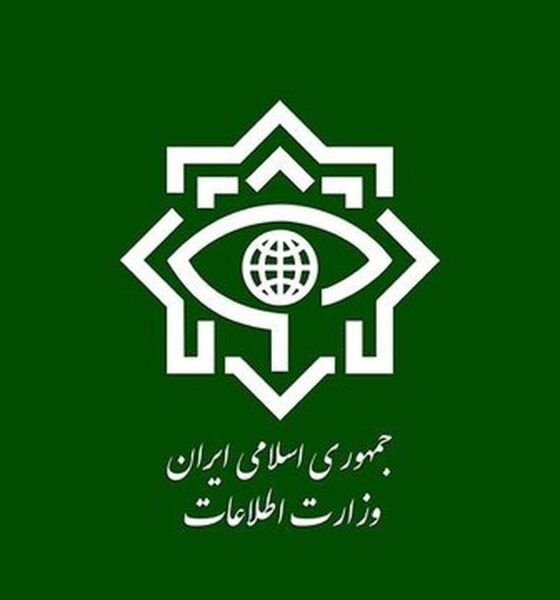 وزارت اطلاعات: ۱۴ عامل دشمن در ۴ استان دستگیر شدند