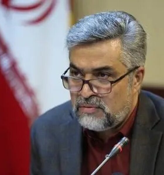 وزارت بهداشت به توئیت احسان کرمی واکنش نشان داد / امنیت بیماران به خطر می‌افتد