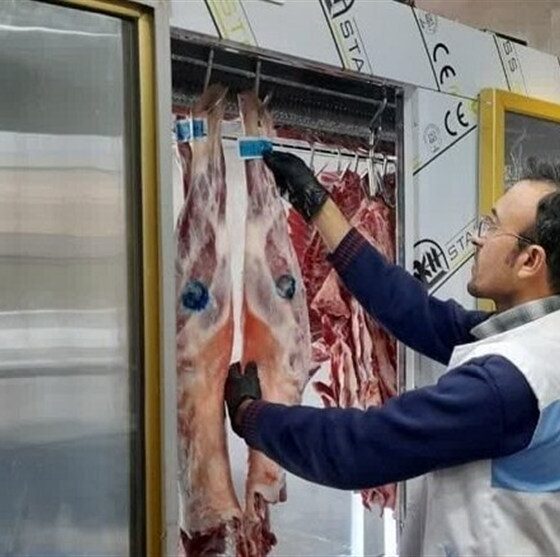 686 تخلف بهداشتی دامپزشکی در استان مرکزی شناسایی شد