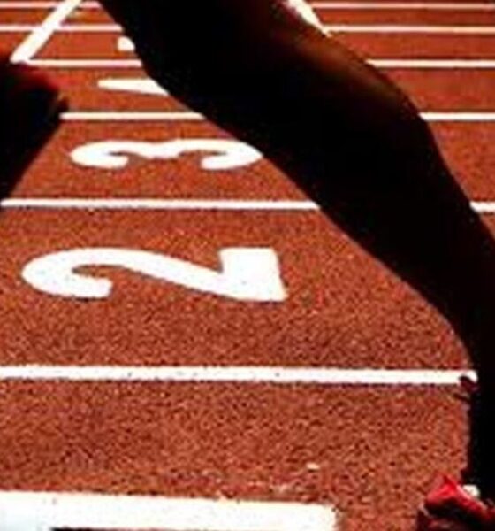 آخرین اخبار از پرونده تجاوز ورزشکاران ایرانی در کره