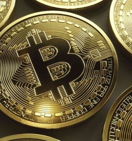 آخرین وضعیت بازار رمزارزها در جهان امروز چهارشنبه ۱۹ فروردین ۱۴۰۵ / بیت‌کوین صعود کرد