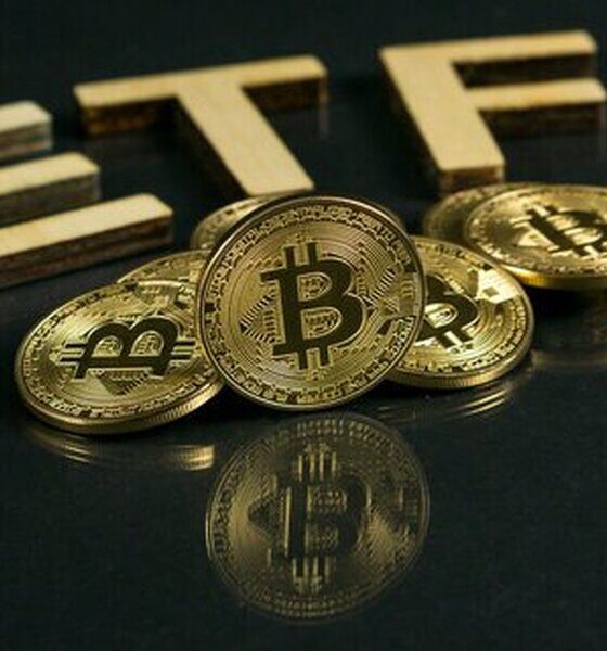 آخرین وضعیت بازار رمزارزها در جهان / خروج سرمایه از صندوق‌های بیت‌کوین رکورد زد