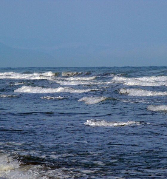 آرایش‌ جدید ناوگان‌ دریایی آمریکا در منطقه / ماجرا چیست؟ + عکس