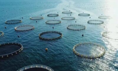 آزمایشگاه تشخیص بیماری‌های آبزیان در چهارمحال‌وبختیاری آغاز به کار کرد