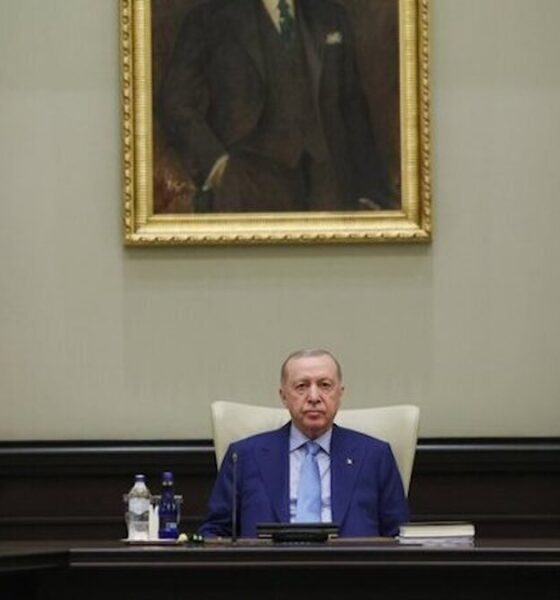 اردوغان استفاده از اسلحه در ترکیه را محدود می‌کند