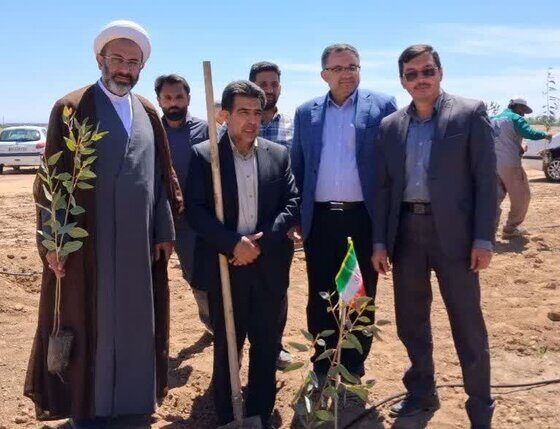 اصفهانی‌ها در پویش سرو ایران ۶۰ هزار اصله نهال کاشتند