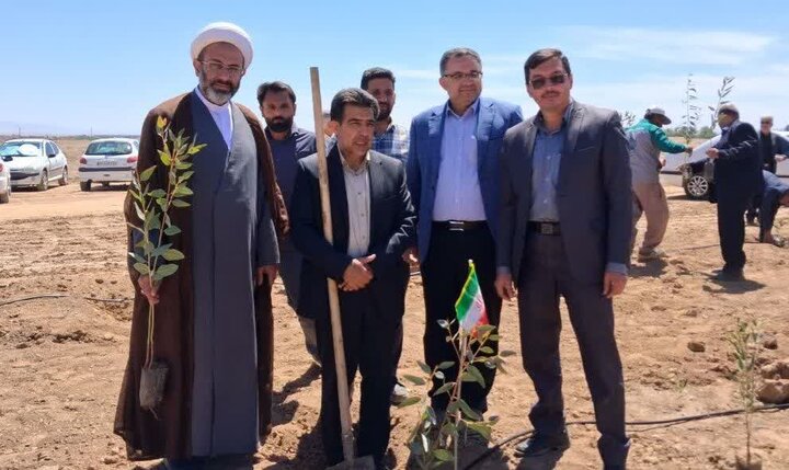 اصفهانی‌ها در پویش سرو ایران ۶۰ هزار اصله نهال کاشتند