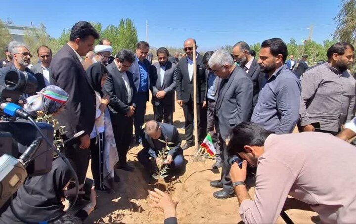 اصفهانی‌ها در پویش سرو ایران ۶۰ هزار اصله نهال کاشتند