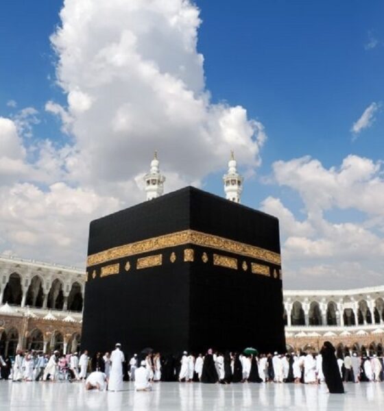 اعزام ۳۰ هزار ایرانی به حج ۱۴۰۵ / آخرین وضعیت زائران اعلام شد