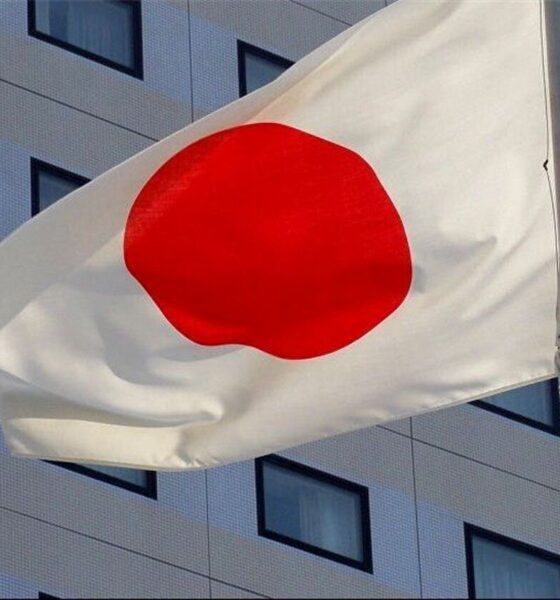 اعلام تصمیم نهایی ژاپن برای اعزام نیرو به تنگه هرمز + جزئیات