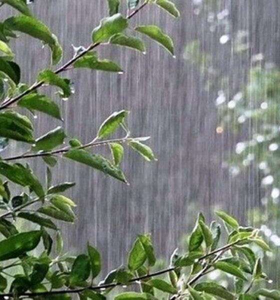 افزایش محسوس دمای هوا در شمال کشور / سامانه بارشی از شنبه وارد می‌شود