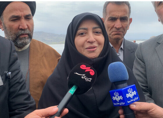 انصاری: مدیریت آب بخش کشاورزی برای احیای دریاچه ارومیه ضروری است