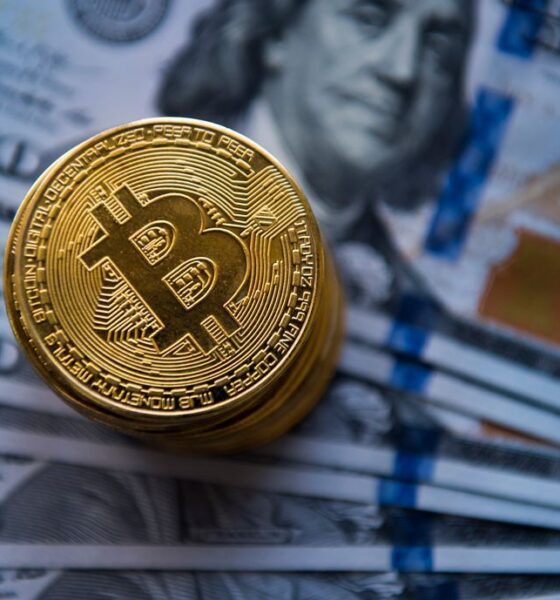 اوج‌گیری مجدد رمز ارزها / قیمت بیت‌کوین از ۷۵ هزار دلار عبور کرد