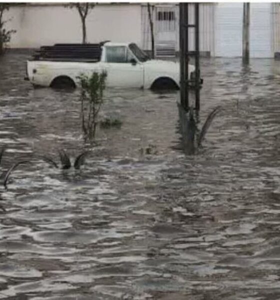 بارش شدید باران در مینودشت و آبگرفتگی معابر گلستان+ عکس