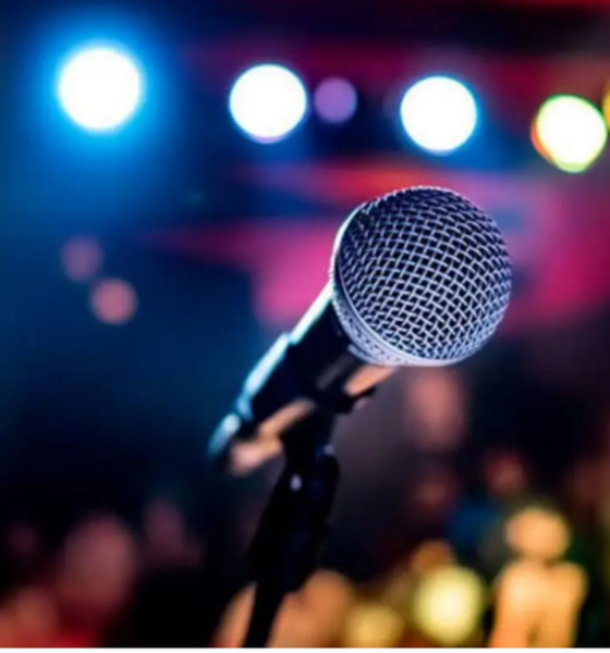 بازگشت ۴ خواننده مشهور به کشور/ اسامی اعلام شد