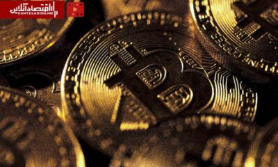 بهترین سال بازار کریپتو؛ ۱۰ سال متفاوت از بلوغ بازار