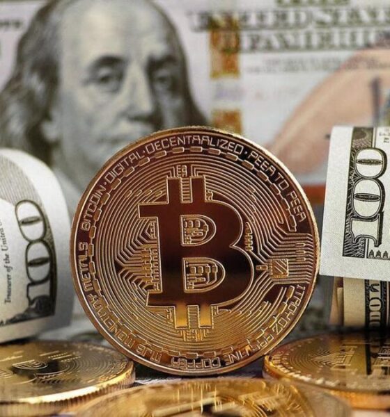 تاثیر سیاست‌های جهانی بر تصمیم‌گیری سرمایه گذاران در بازار ارزهای دیجیتال