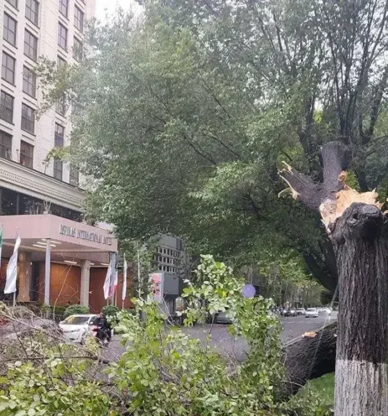 تازه‌ترین آمار از تعداد مصدومان طوفان امروز در تهران