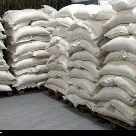 ترخیص فوری 30 هزار تن برنج و 35 هزار تن روغن از انبارهای بندر رجایی