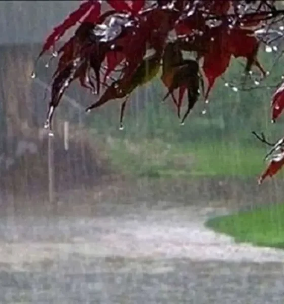 تصاویر دیدنی از بارش برف بهاری در خلخال+ عکس