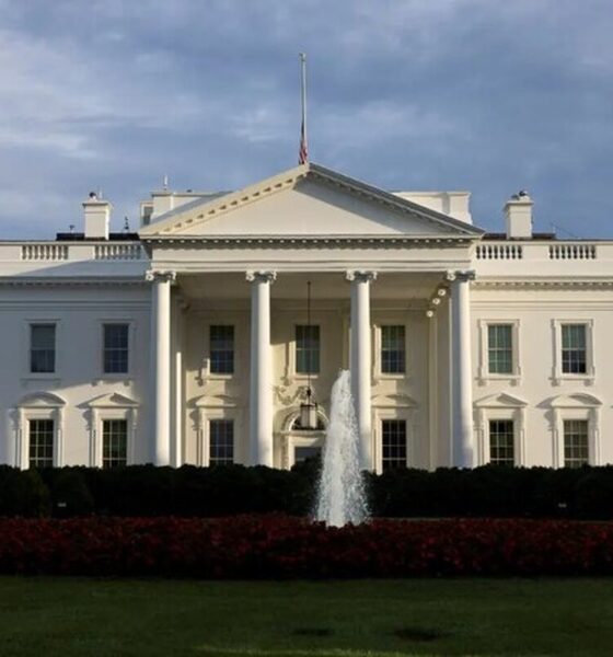 تلاش برای ورود به کاخ سفید ناکام ماند/یک نفر بازداشت شد