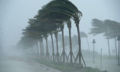 تهرانی‌ها آماده باشند/ وزش باد شدید و بارش باران در راه است