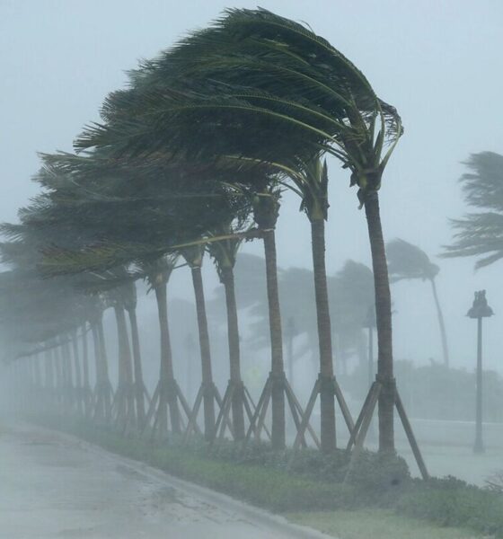 تهرانی‌ها آماده باشند/ وزش باد شدید و بارش باران در راه است