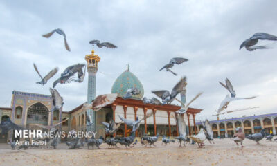 حضرت شاهچراغ(ع) پرچم‌دار جهاد تبیین است