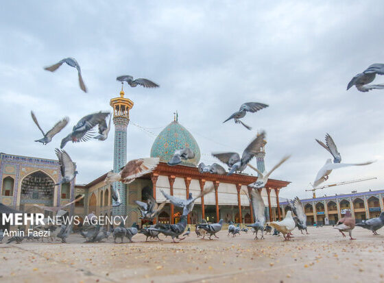 حضرت شاهچراغ(ع) پرچم‌دار جهاد تبیین است