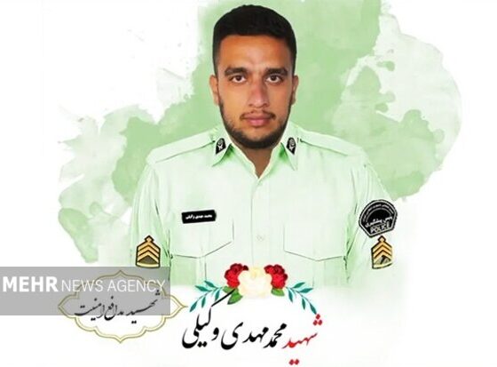 حکم قصاص قاتل شهید وکیلی اجرا شد