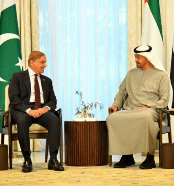 خشم امارات از پاکستان بابت میانجی‌گری بین ایران و آمریکا / موضع عربستان چیست؟