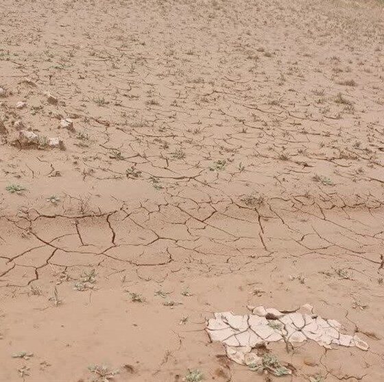 دادستان اندیمشک: برخورد قانونی با مقصران احتمالی تشدید سیلاب کوی نیرو