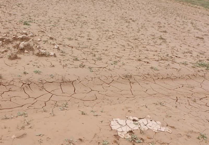 دادستان اندیمشک: برخورد قانونی با مقصران احتمالی تشدید سیلاب کوی نیرو