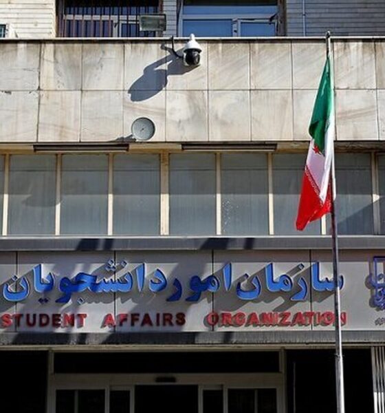 دریافت «کد صحت» برای مدارک تحصیلی دانشگاهی امکان‌پذیر شد