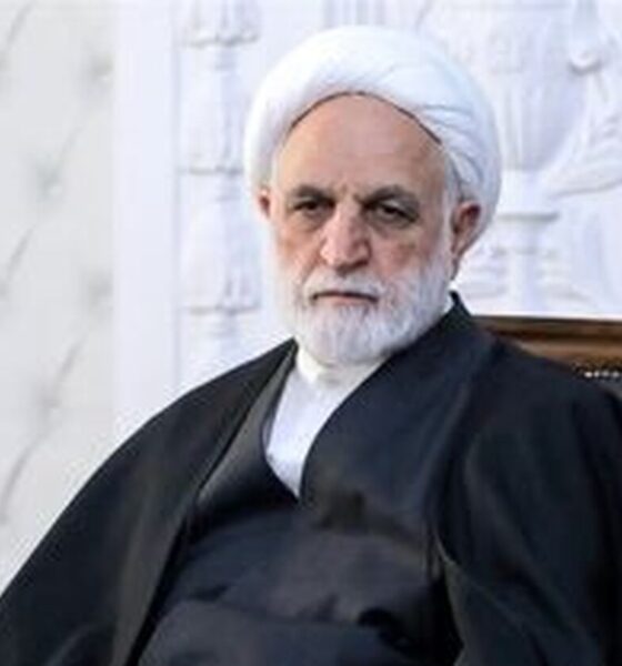 دستور رئیس قوه قضاییه برای اینترنت پرو / به مقوله اینترنت‌پرو ورود خواهیم داشت